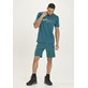 W211155/2119 WHISTLER FRESCO M HIKING SHORTS - Męskie Spodenki Trekkingowe