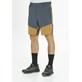 W201169/1009 WHISTLER AVIAN M OUTDOOR STRETCH SHORTS - Męskie Spodenki Trekkingowe