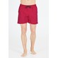 CR241755/4306 CRUZ EYEMOUTH M BASIC SHORTS V2 - Męskie Szorty